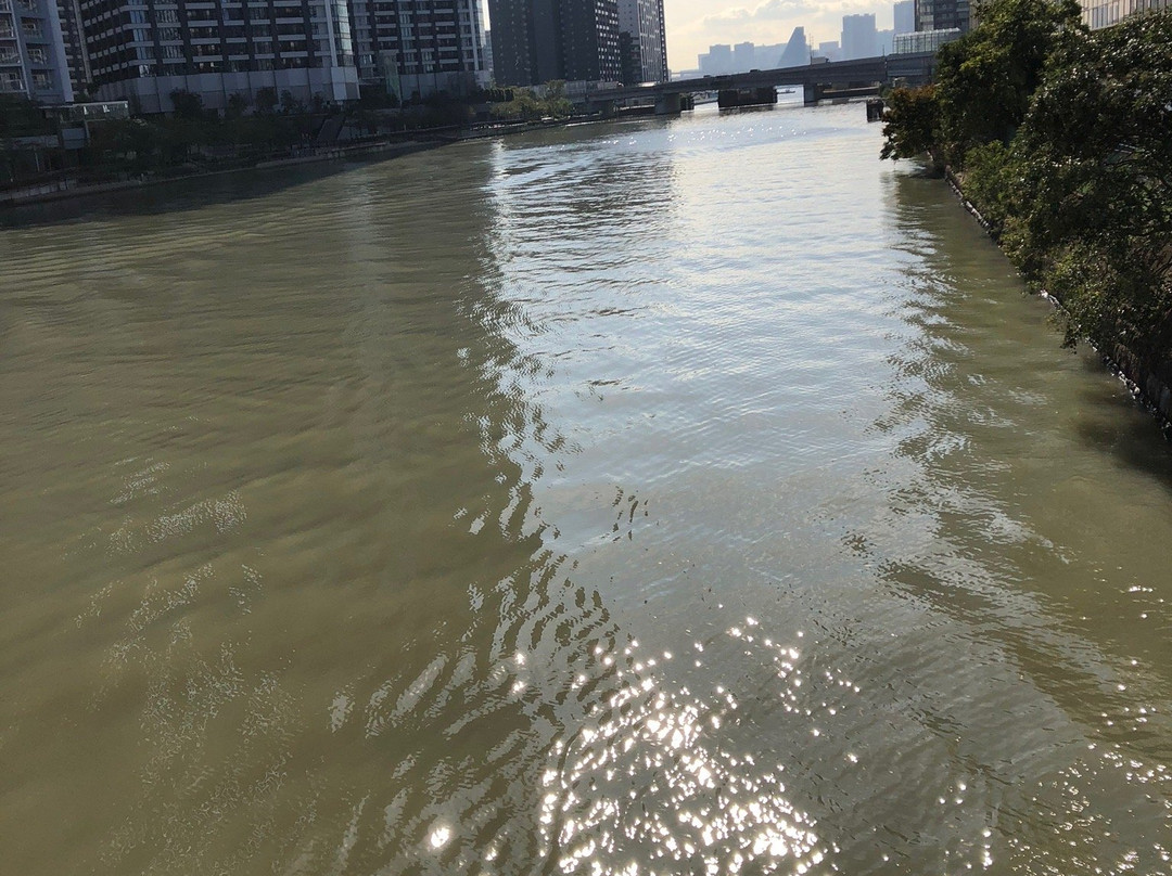 Asashio Canal Pier-Harumi必去景点