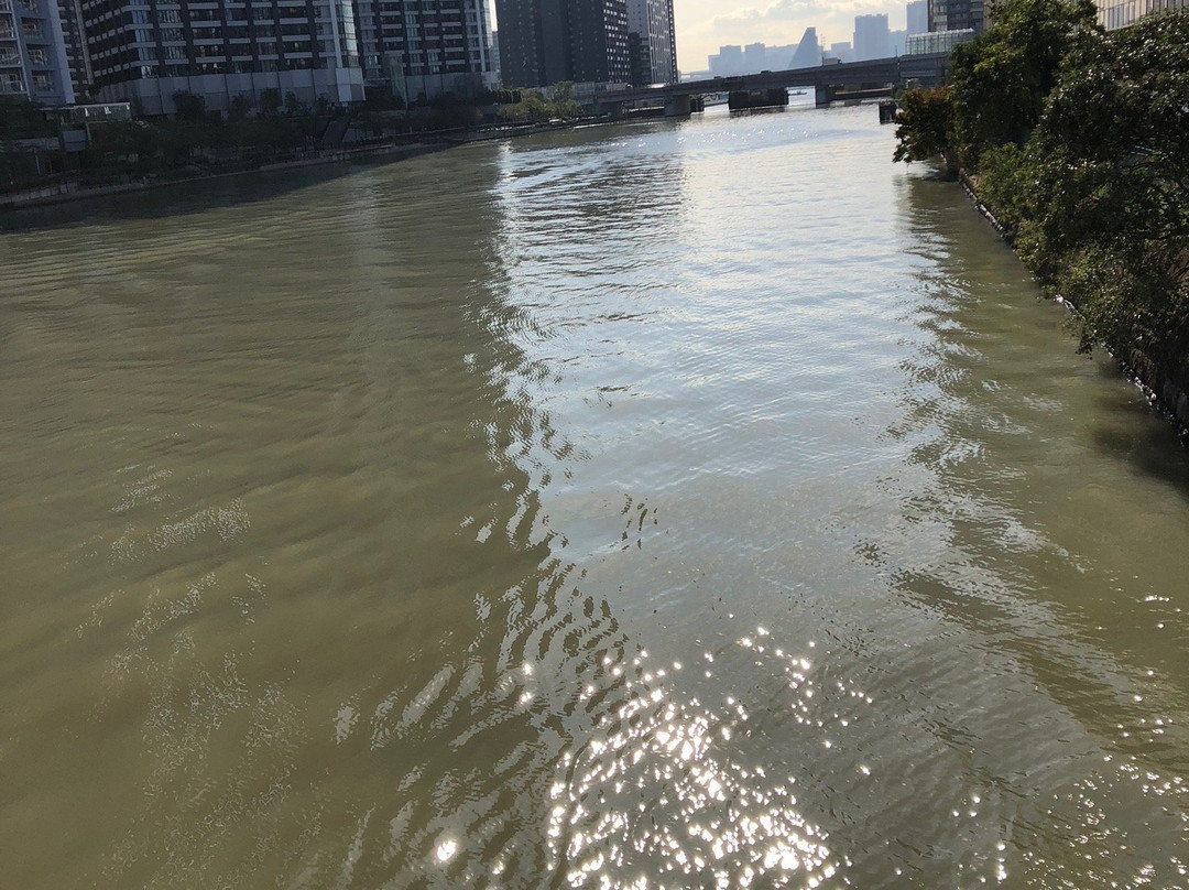 Asashio Canal Pier景点图片