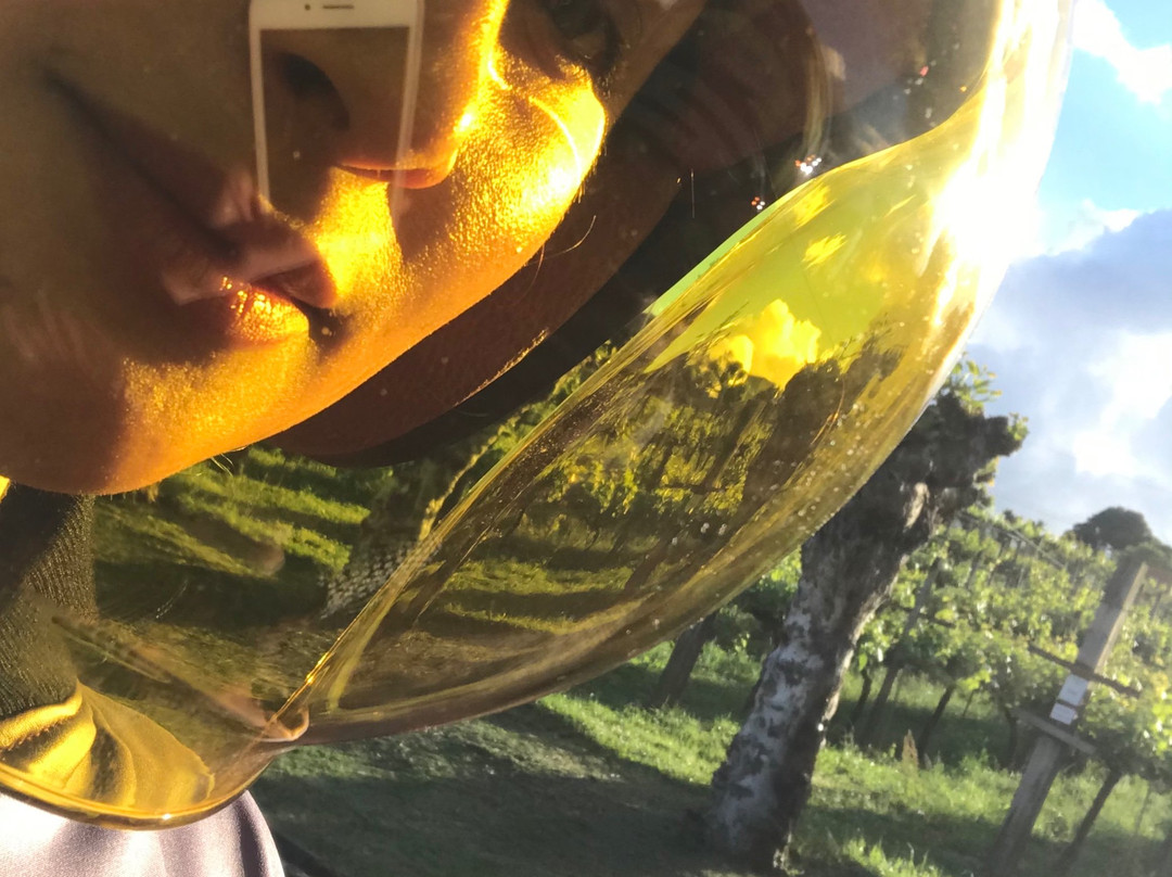 Villa Michelon主图