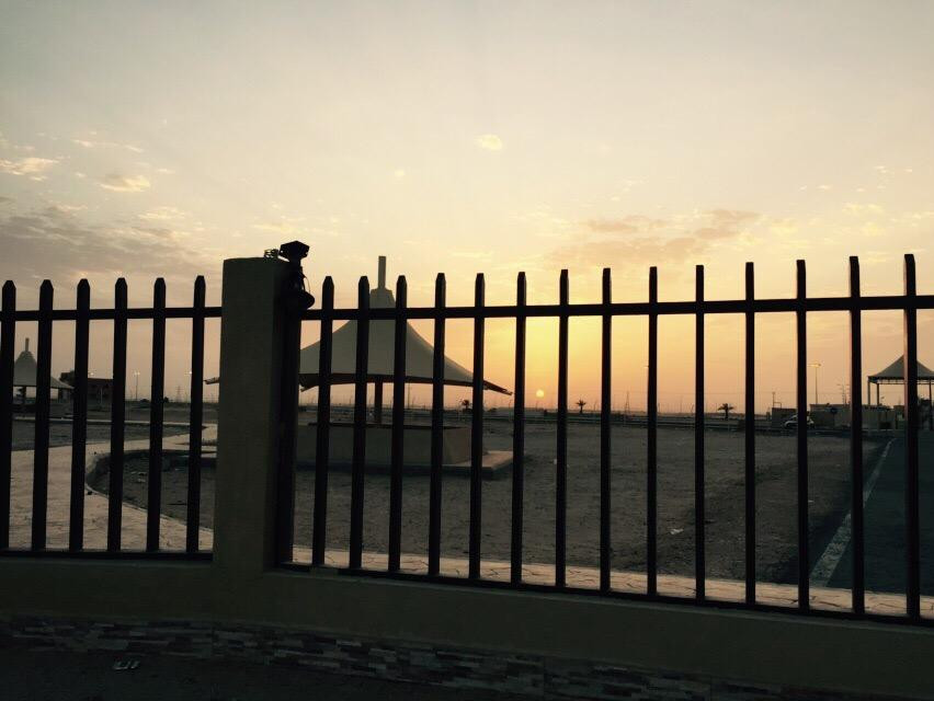 Al Kharj旅游景点-Ayun AlSeih (Means Eyes of Al-Seeh)