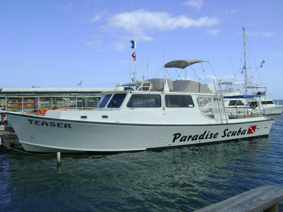Paradise Scuba & Snorkeling Center景点图片