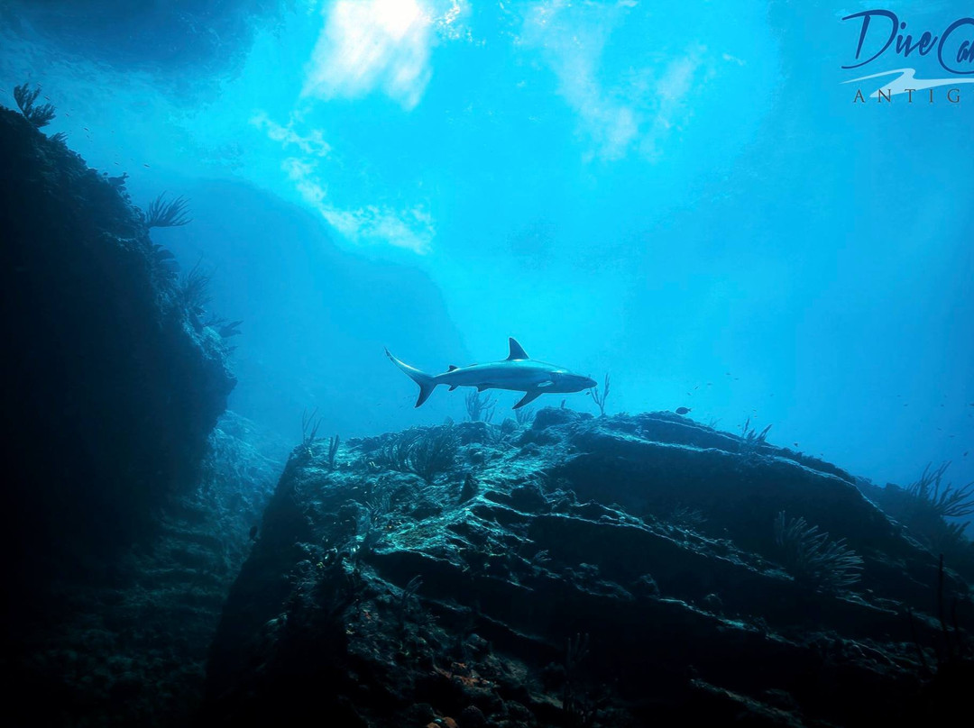 DiveCarib-英吉利海港必去景点