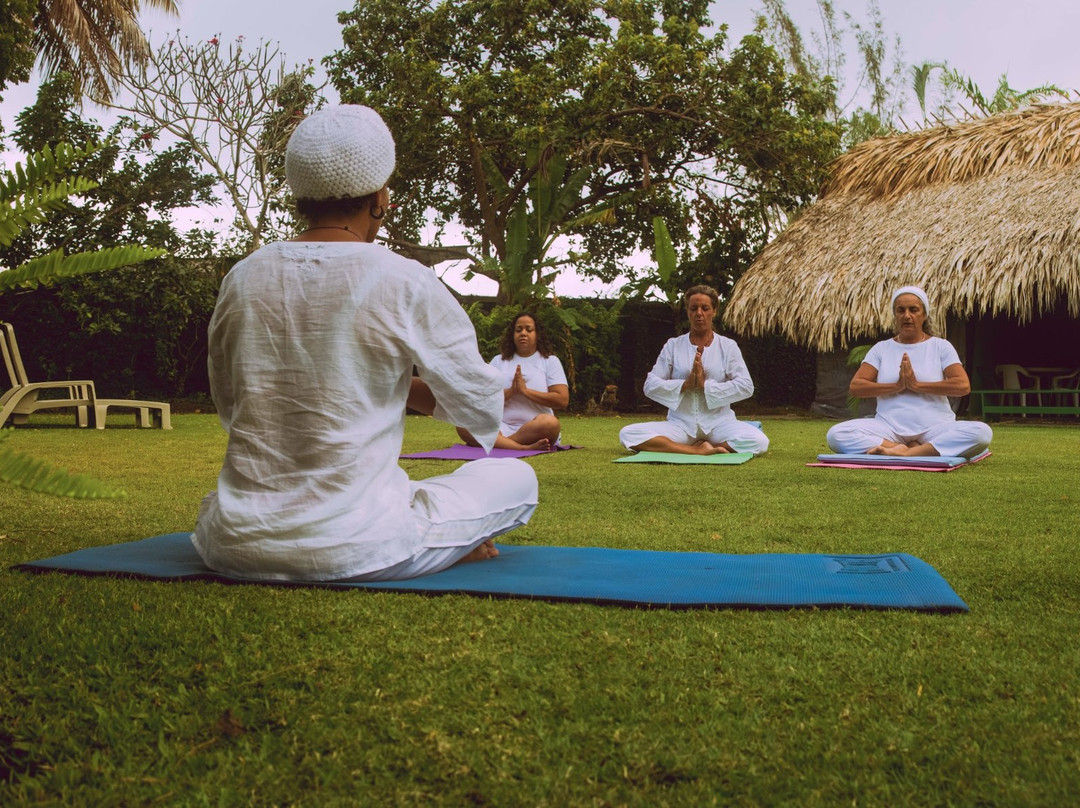 Bon Accord旅游景点-Thou Art Yoga