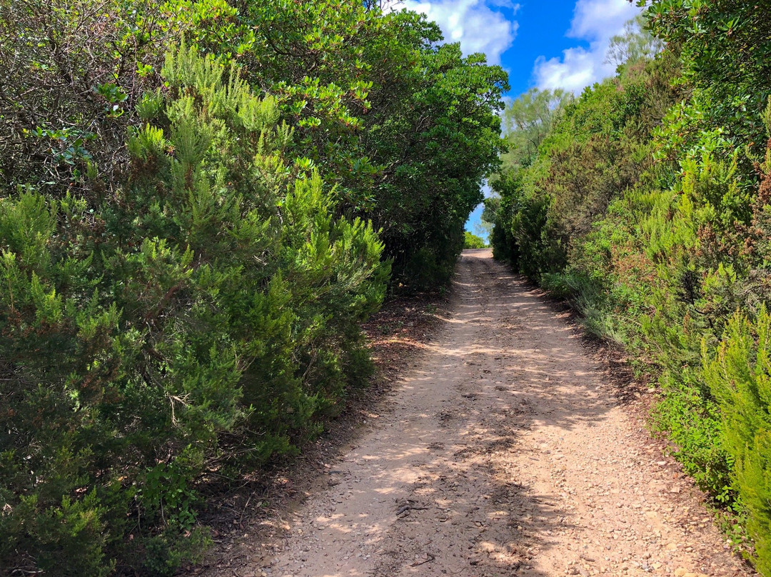 Perda de sa Mitra-Castiadas必去景点