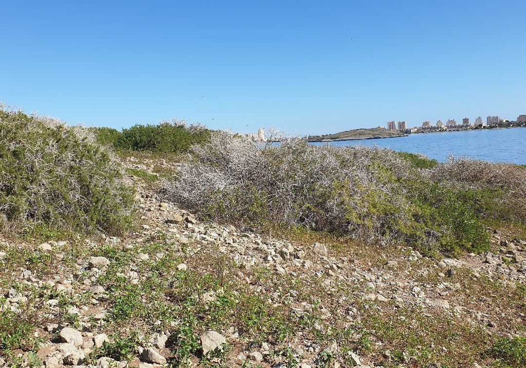 Isla Rondella-圣哈维尔必去景点