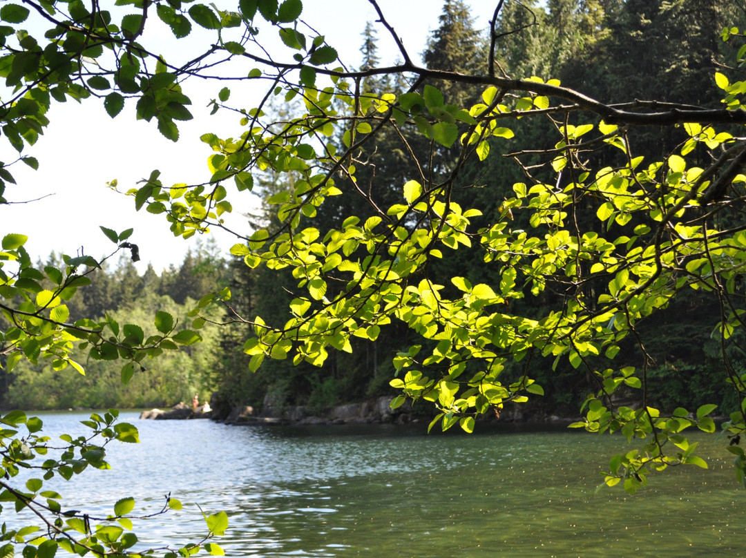 哈里逊温泉旅游景点-Hicks Lake