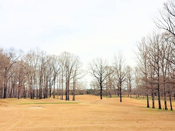 Montgomery Bell Golf Course景点图片