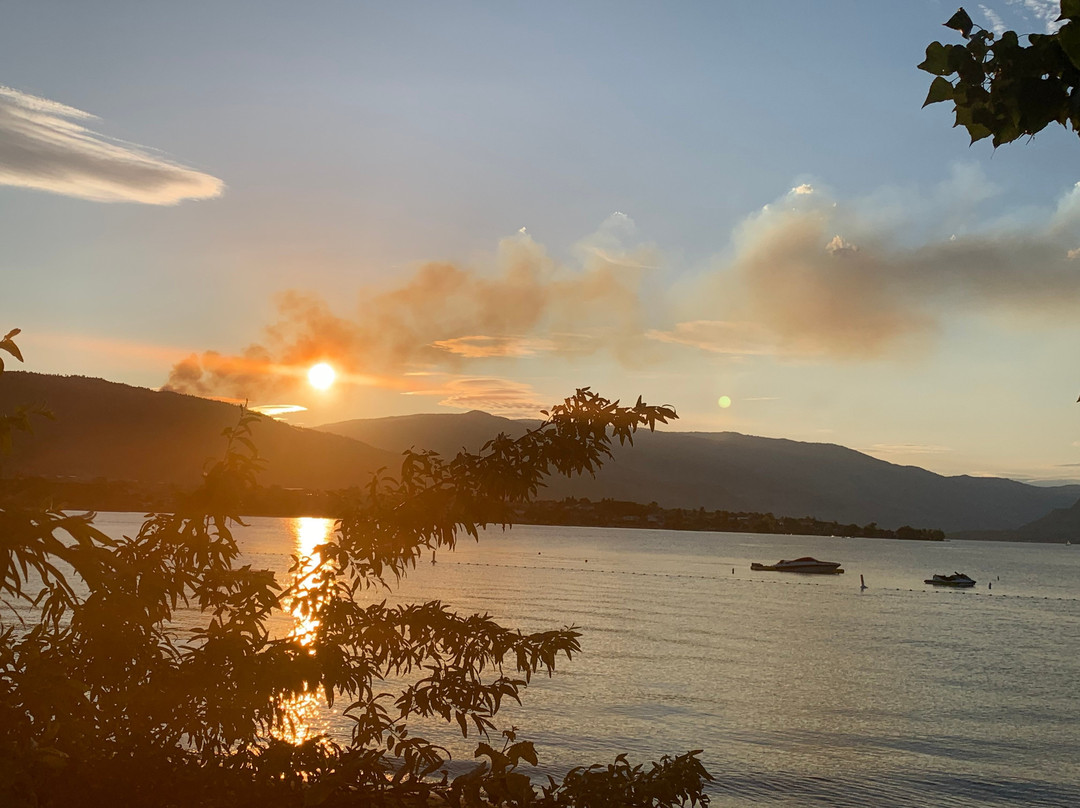Poplars Motel On The Lake主图