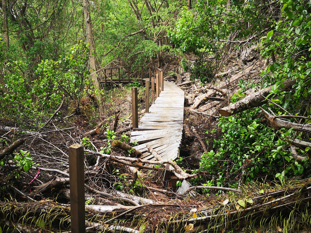 Territory Day Park-圣诞岛必去景点