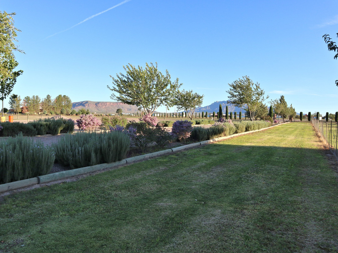 D.H. Lescombes Winery & Tasting Room-拉斯克鲁塞斯必去景点