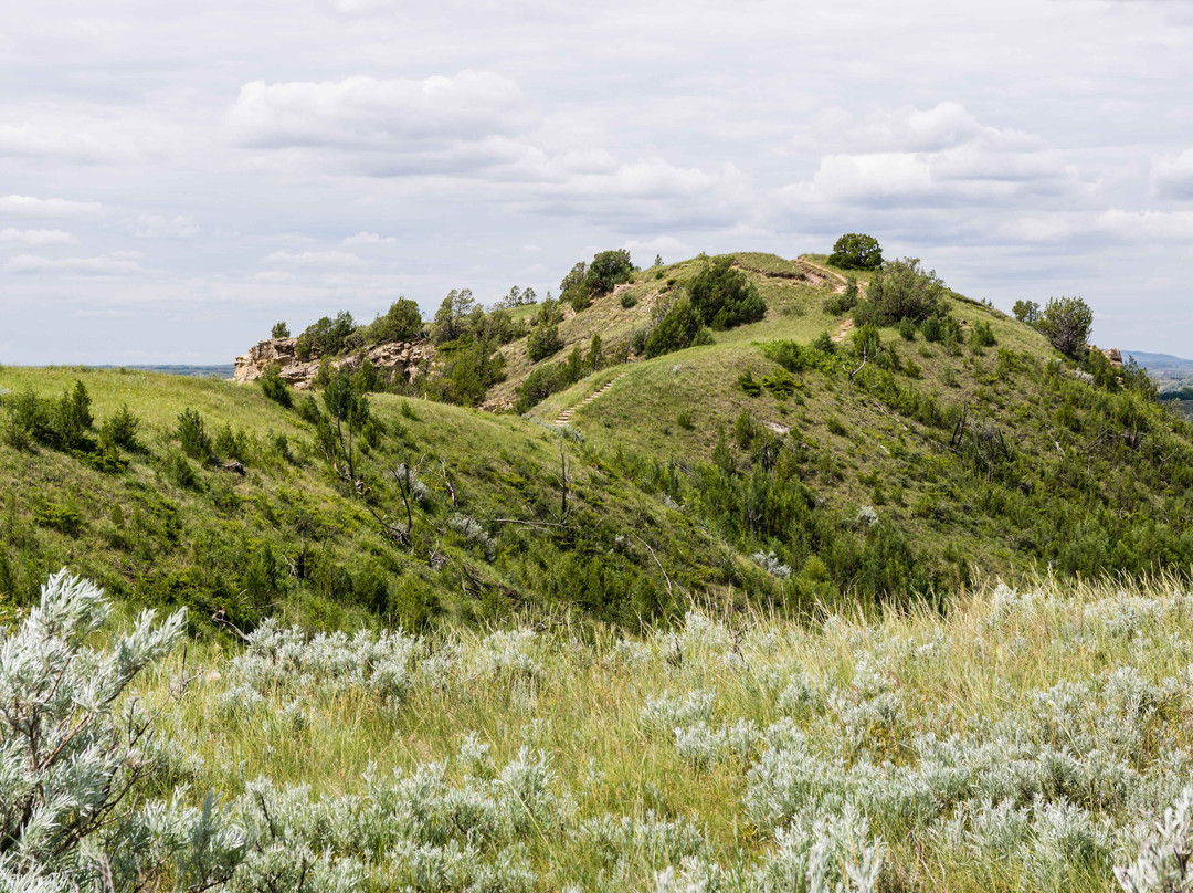 Ridgeline Nature Trail景点图片