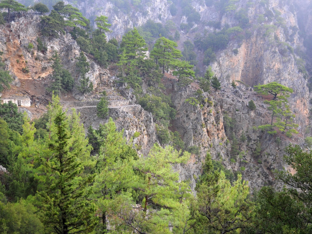 Dasos Selakano-Selakano必去景点