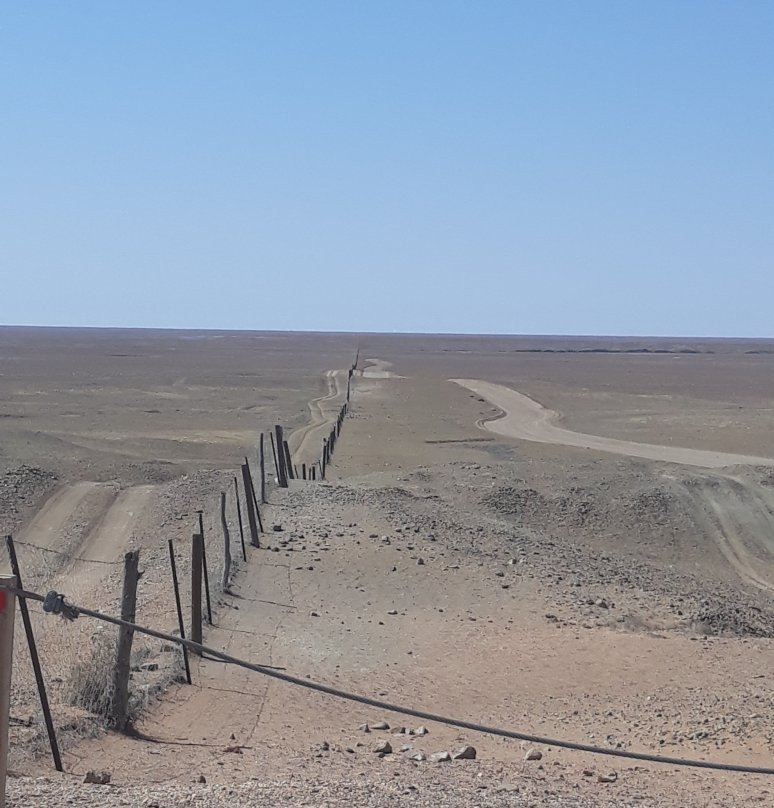 Dog Fence-库伯佩迪必去景点