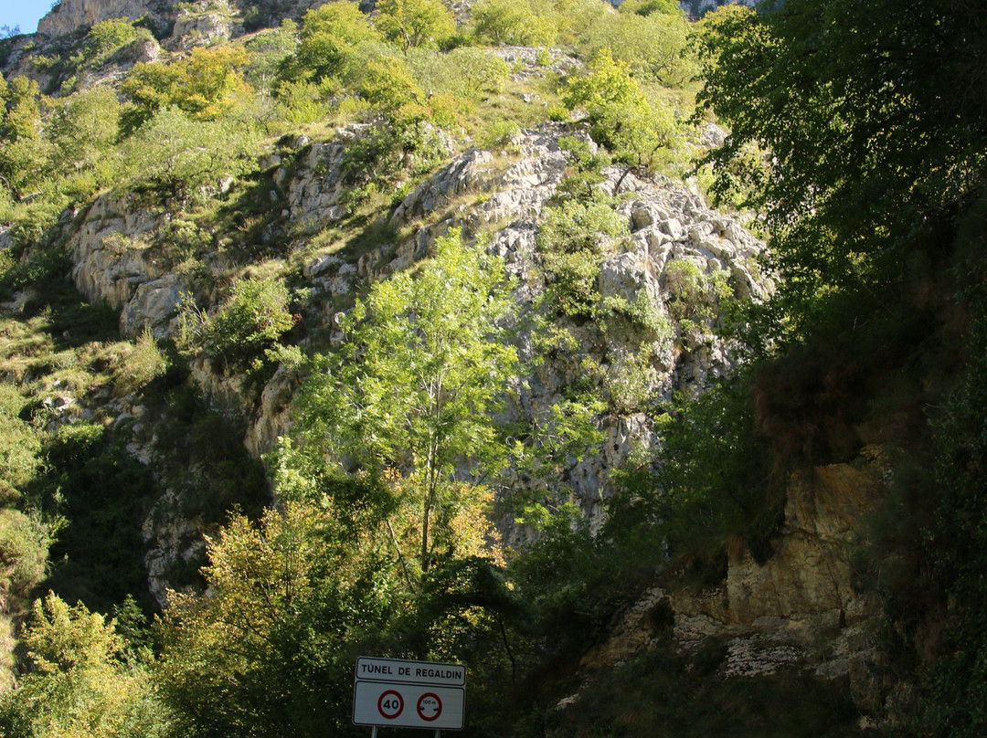 Desfiladero de Los Beyos-Amieva必去景点