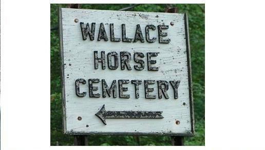 Wallace Horse Cemetery景点图片