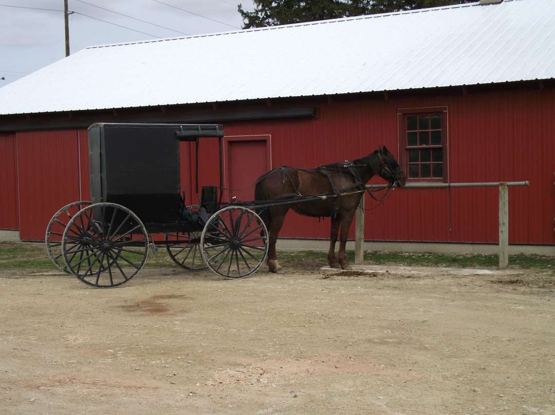R & M Amish Tours景点图片