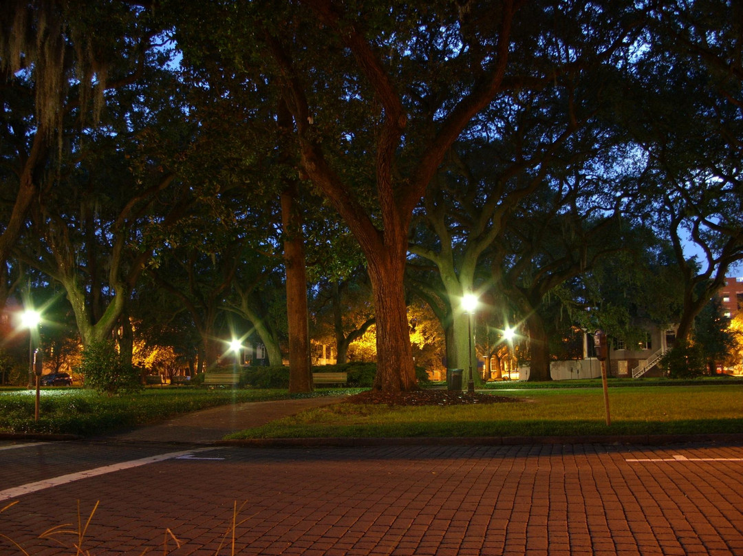 Bonnie Blue Walking Tours of Savannah景点图片