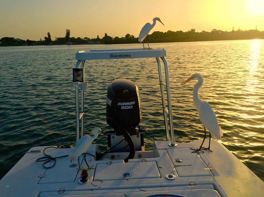 Shallow Water Escape-Placida必去景点