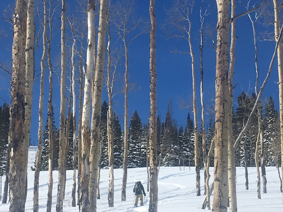 Steamboat Backcountry Adventures-斯廷博特斯普林斯必去景点