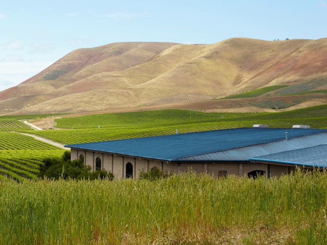 圣玛丽亚旅游景点-Cambria Estate Winery