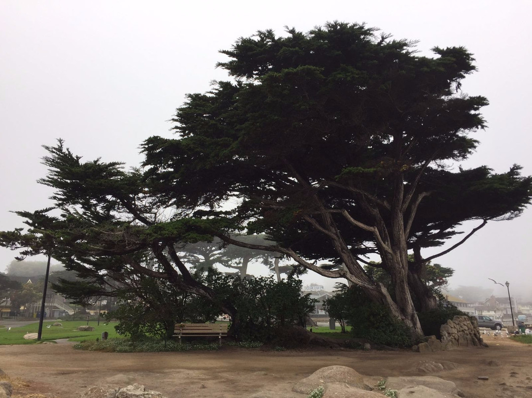 Lover's Point Park景点图片