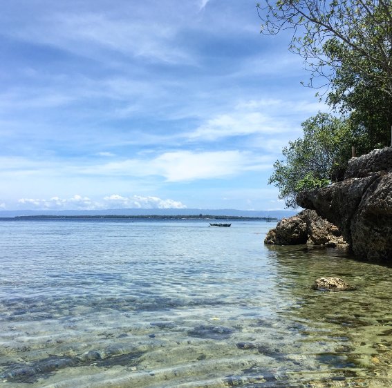 Rene's Diverslounge Resort-泳池
