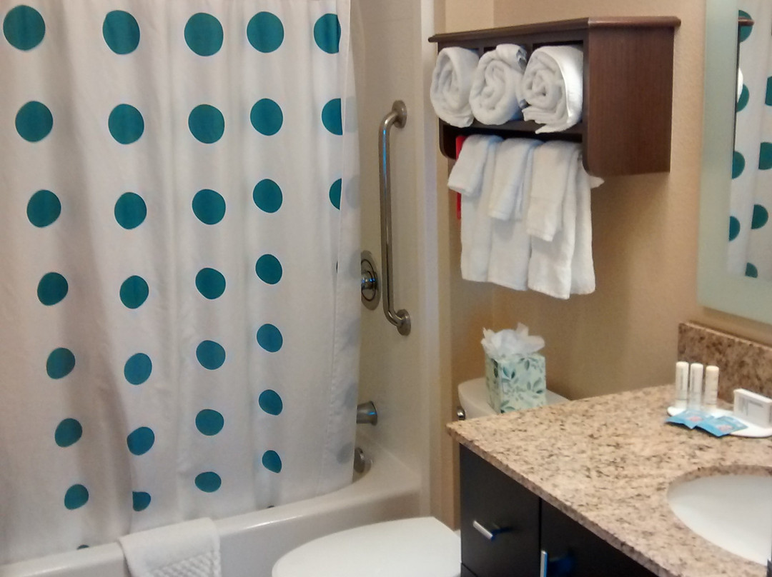 TownePlace Suites by Marriott Lincoln North主图