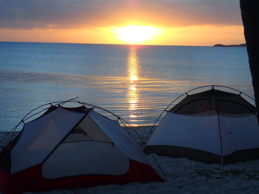 Treeline Expeditions LLC-伯明翰必去景点