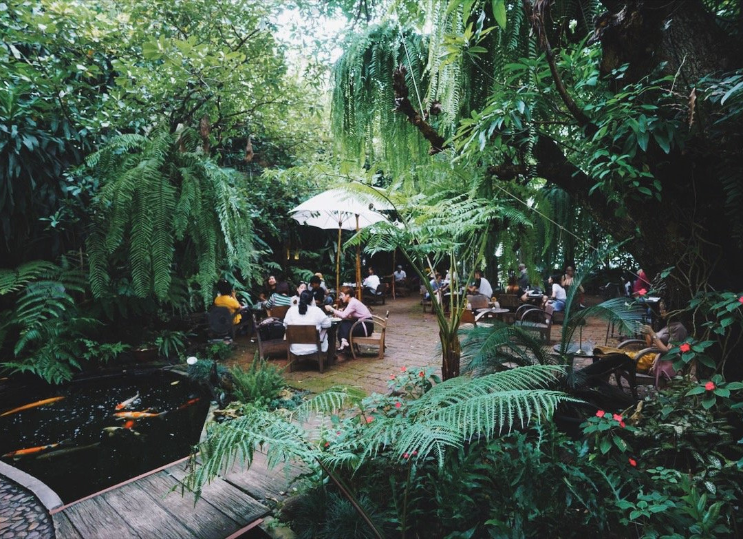 Fern Forest Cafe主图