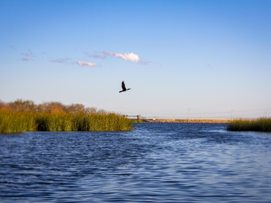 Floresville旅游景点-布劳尼格湖