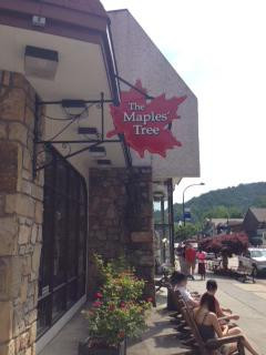 The Maples' Tree-盖林柏格必去景点