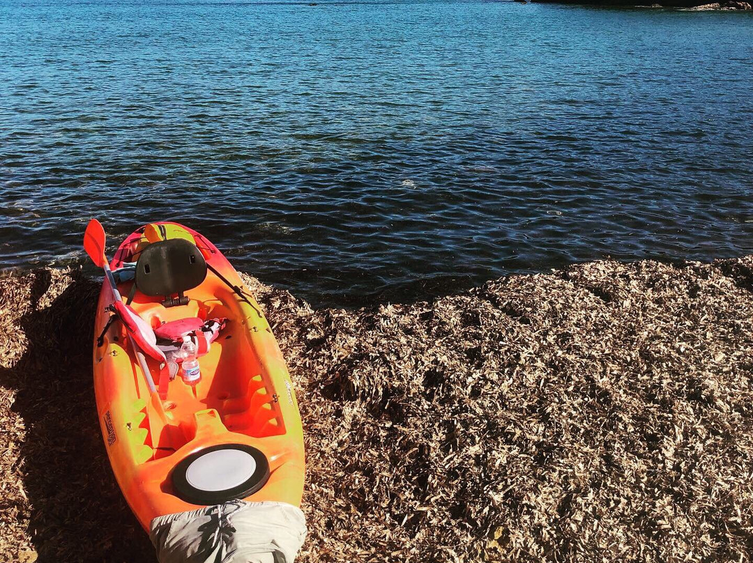 Kayak-Ibiza景点图片