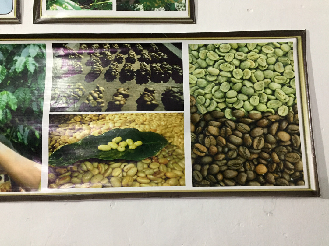 Selva Sur Coffee-Pucara必去景点