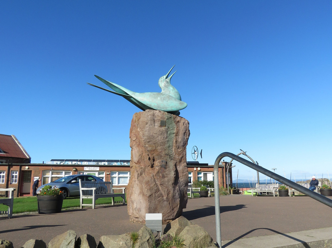Arctic Tern Statue景点图片