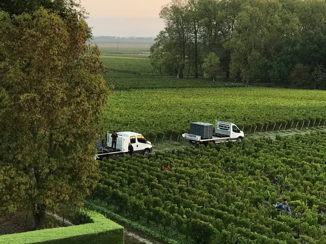 Hôtel de Margaux主图