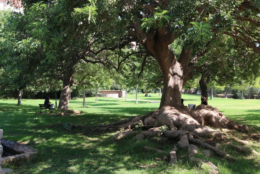 Jardins de l’Annonciade-Bastia必去景点