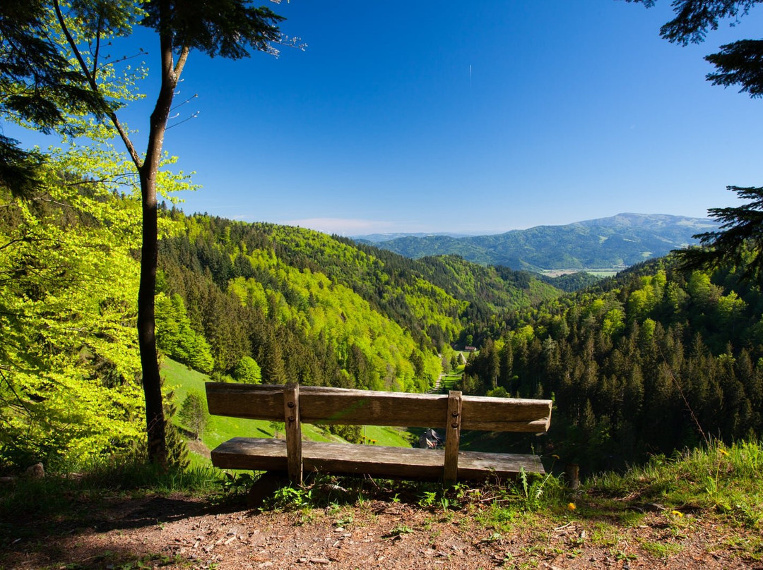 Hotel Schwarzwaldtanne主图