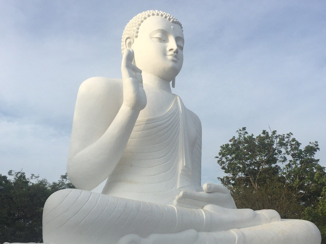 N2 Travels-加勒必去景点