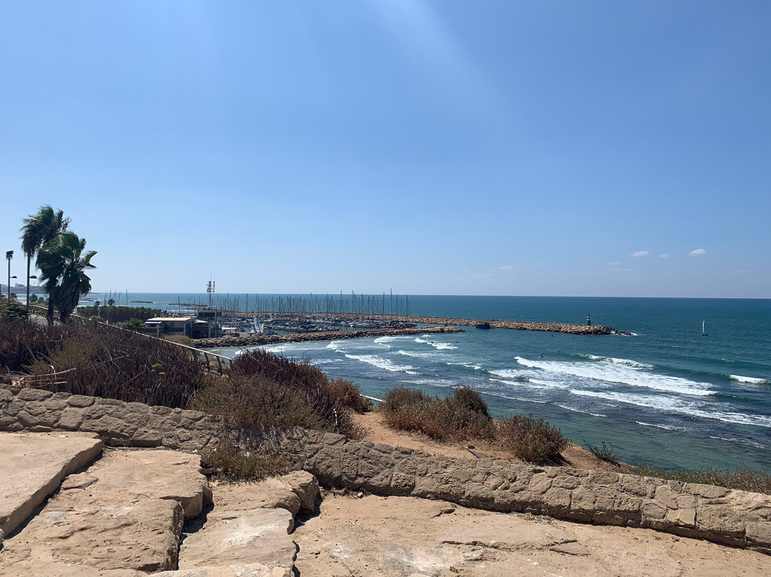 Independence Park-特拉维夫必去景点