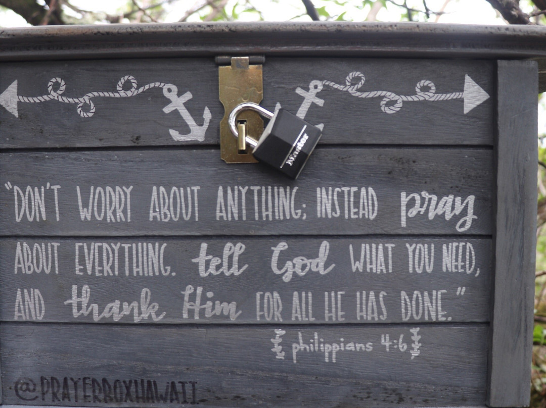 Pu’u Ma’eli’eli Digging Hill-卡内奥赫必去景点