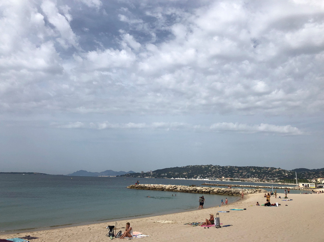 Provence Trips & Tours-戛纳必去景点