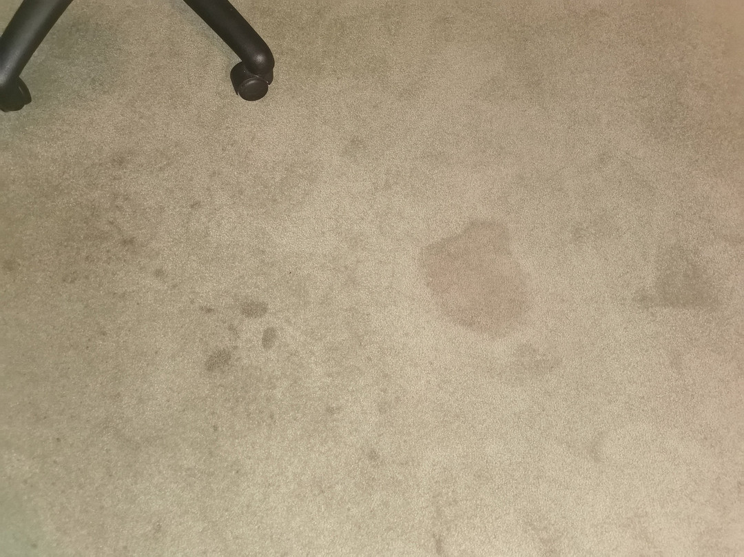 Orca Inn Suites主图