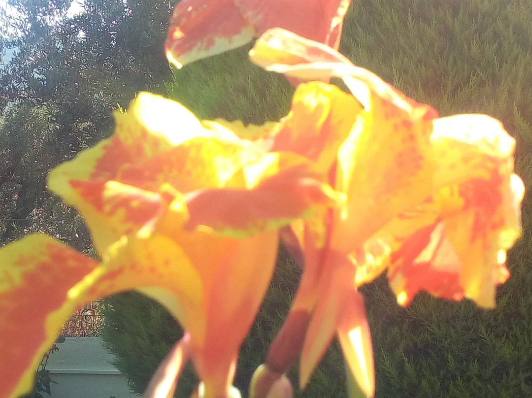 Studios Filippos主图