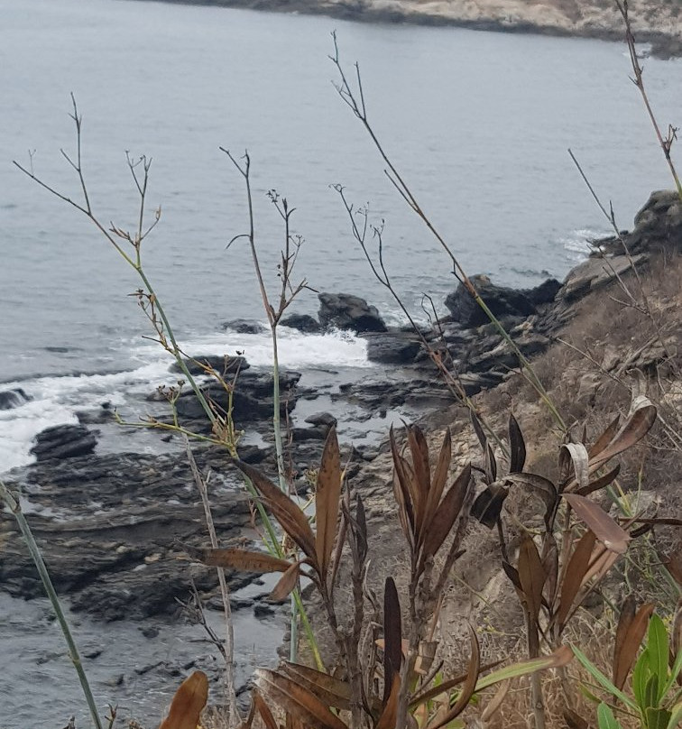 Parque del Mediterraneo-阿尔穆涅卡尔必去景点