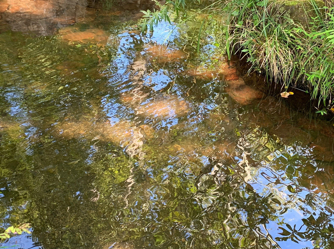 Hirugano watershed park-郡上市必去景点
