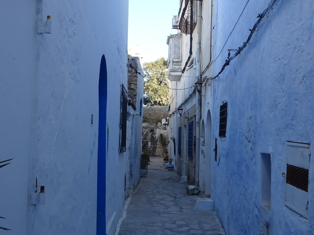 Medina of Yasmine Hammamet-哈玛麦德必去景点