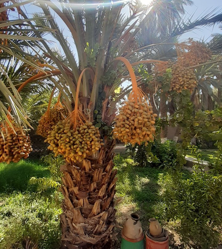 Gite d'Etape les Jardins主图