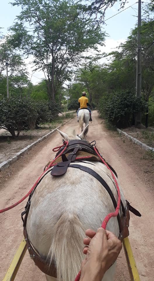 Pousada Fazenda Santa Fe-浴室