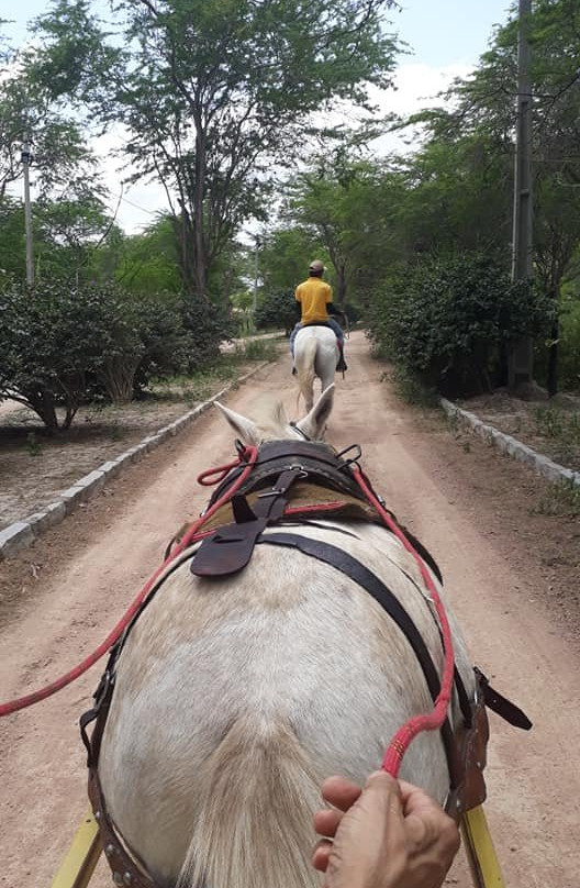 Pousada Fazenda Santa Fe主图