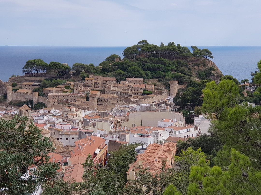 Moorish Tower景点图片